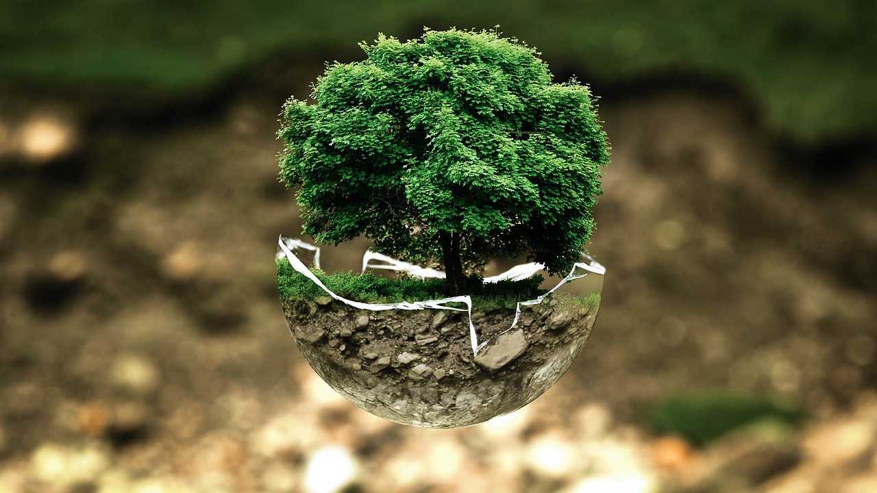 greencommerce.it background